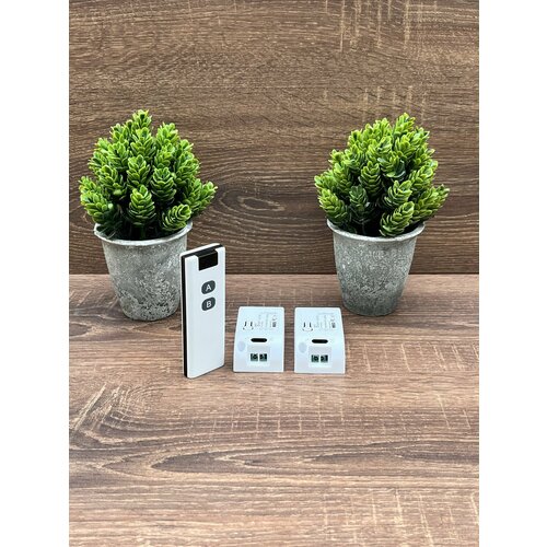 Комплект 433 мГц пульт управления радиореле 2 клавиши 2 реле 1270₽