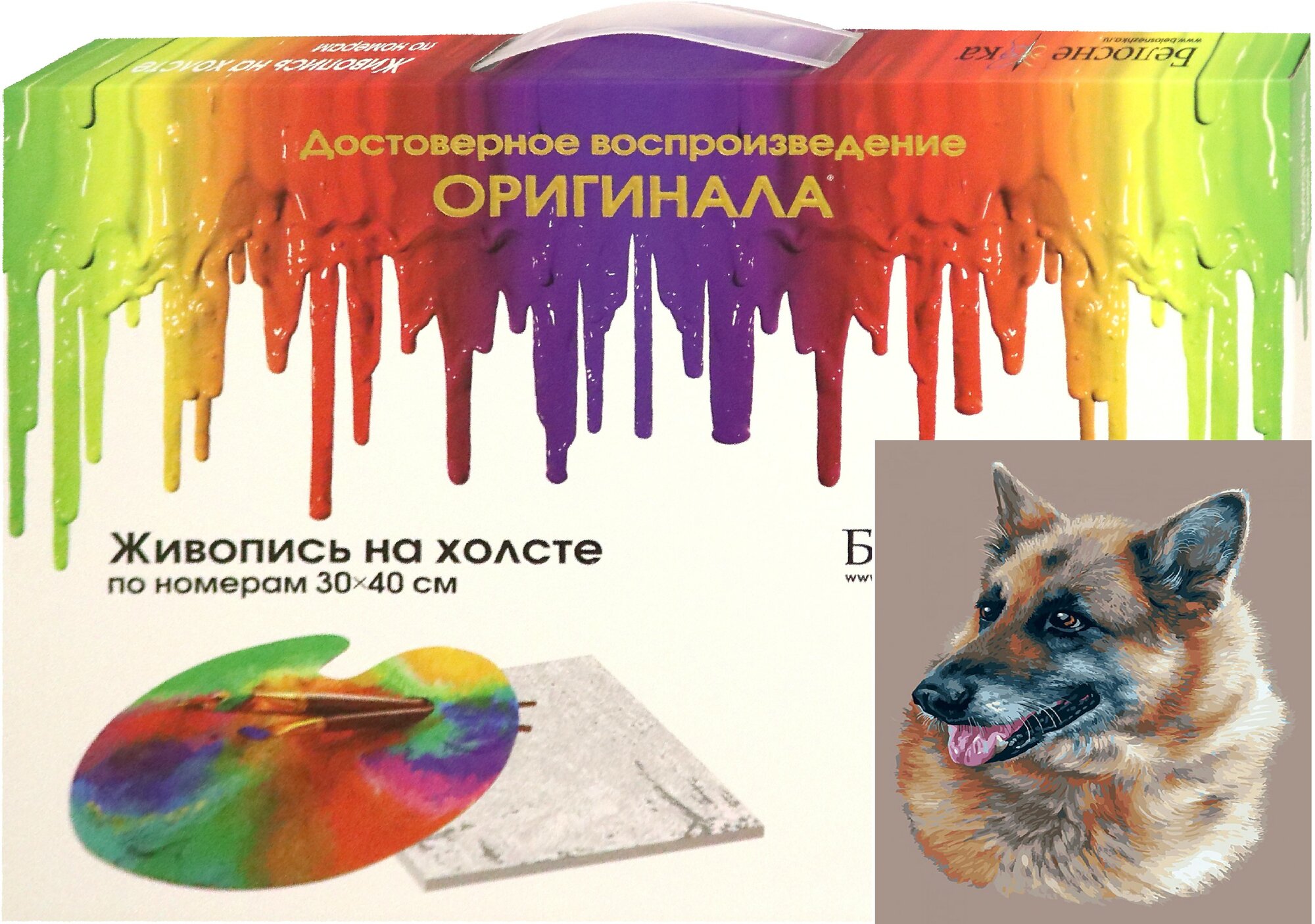 Живопись на холсте 30*40 Эльзасская овчарка (377-AS) Белоснежка - фото №17