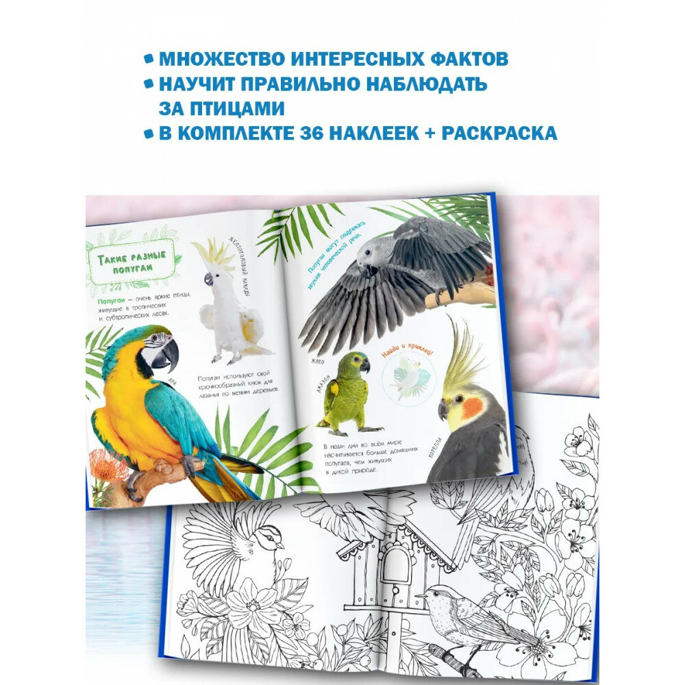 Птицы (Рахчеева Мария Витальевна) - фото №9