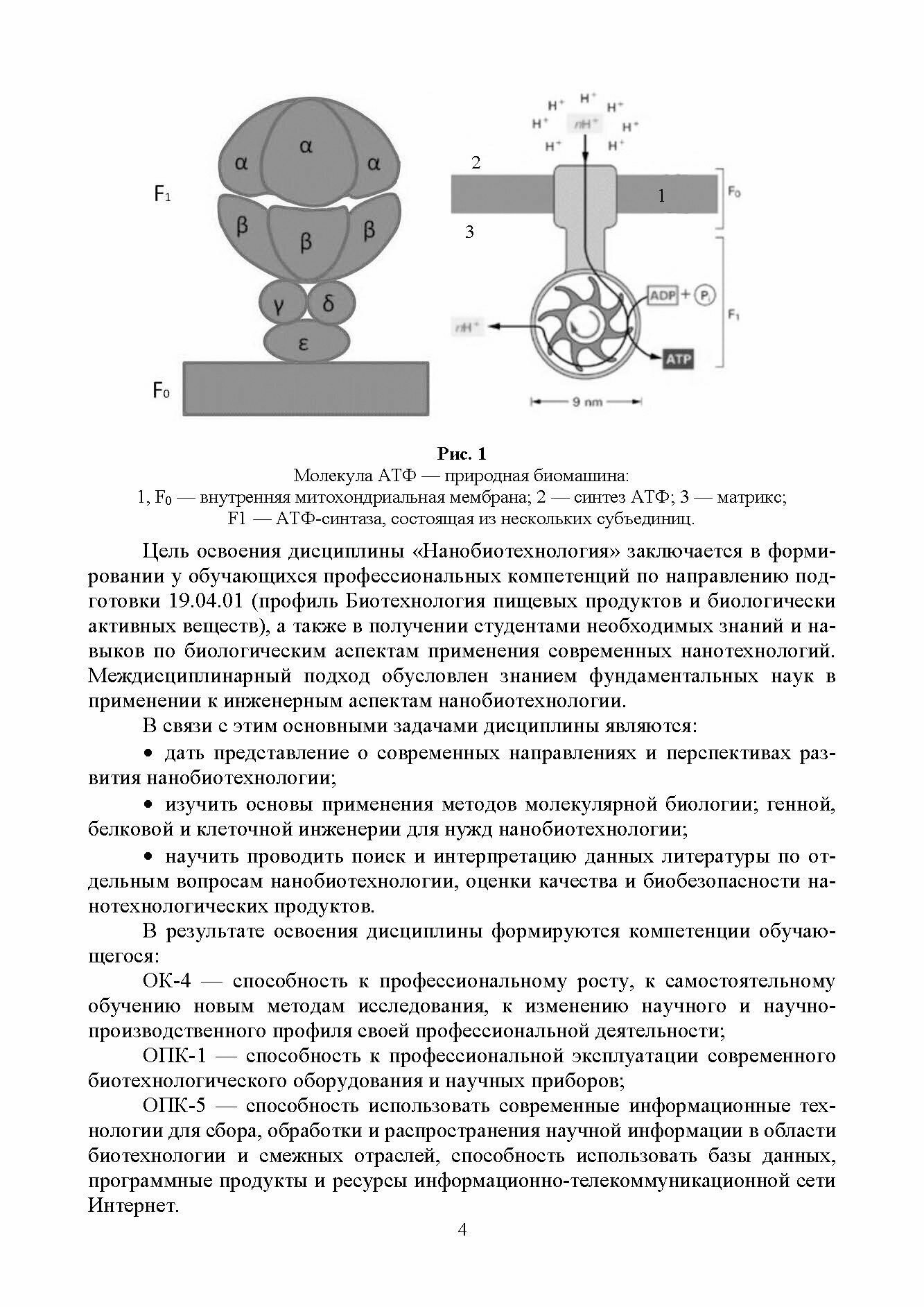 Биомедицинские нанотехнологии (Будкевич Елена Вдадимировна, Будкевич Роман Олегович) - фото №6