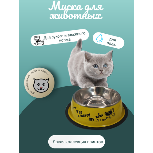 Миска для животных с ярким принтом Who moved my