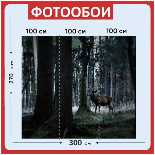 Фотообои Олень красный олень ред дир 300x270 см флизелиновыена стену 3970₽