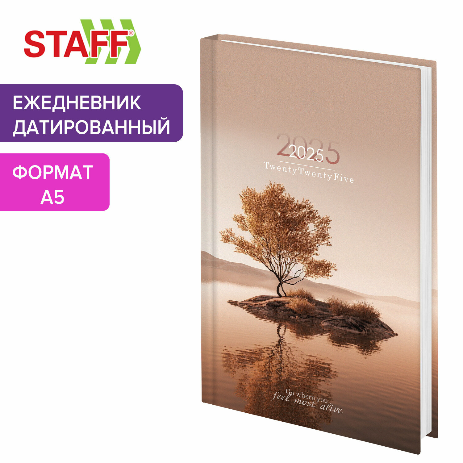 Ежедневник датированный 2025, планер планинг, записная книжка А5 145х215 мм, ламинированная обложка, Staff, Relaxation, 116036