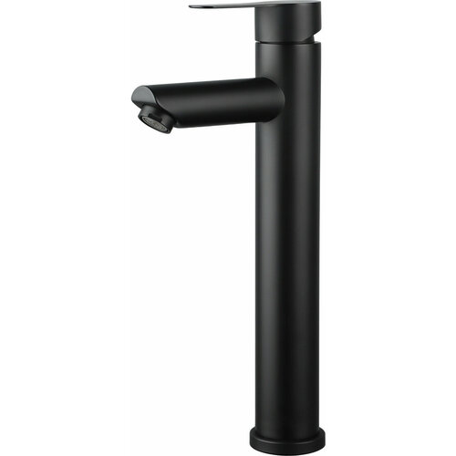 Смеситель для раковины AVAPAX Elbe черный (AP01212B)