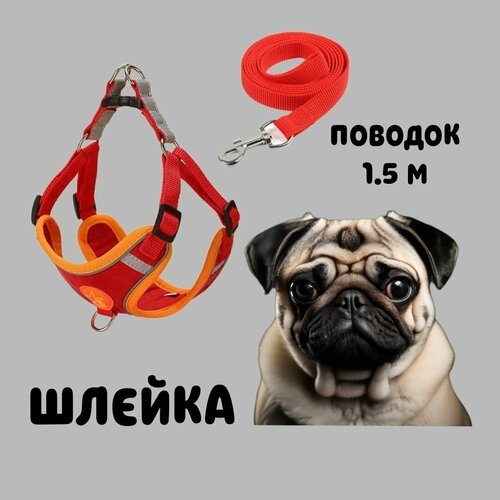 Шлейка с поводком для собак мелких пород. L. Цвет красный. Обхват груди 50-56 см.