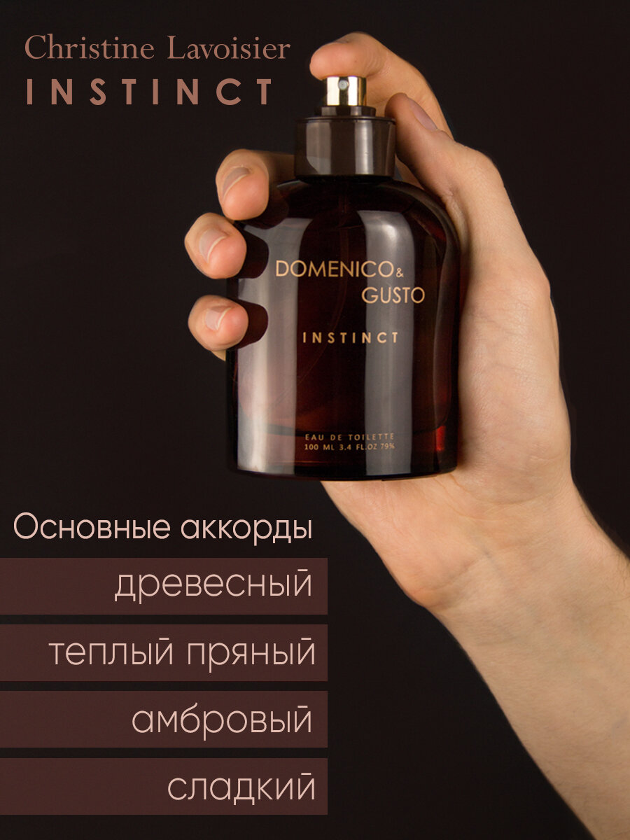 Domenico&Gusto Instinct , Доменико энд Густо Инстинкт, туалетная вода мужская, парфюм мужской, духи, древесный, пряный, — фото 1