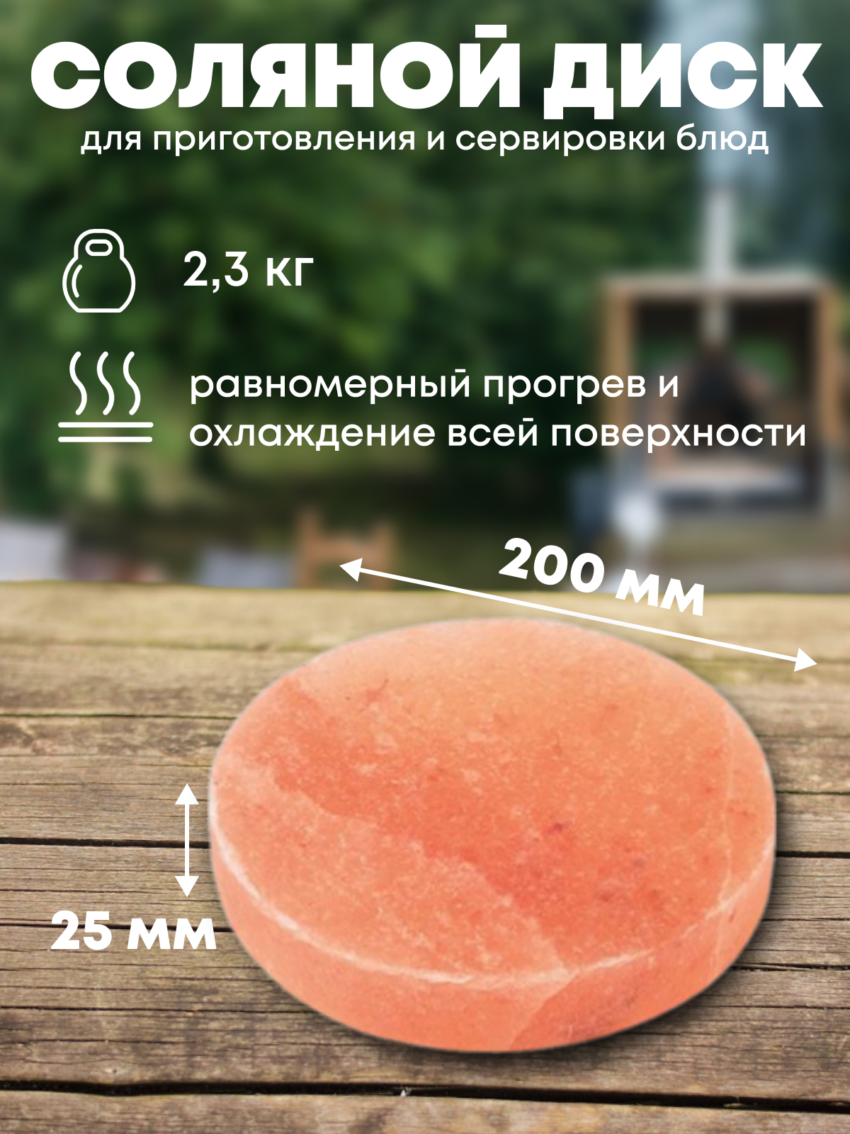 Диск 200*25 из гималайской соли