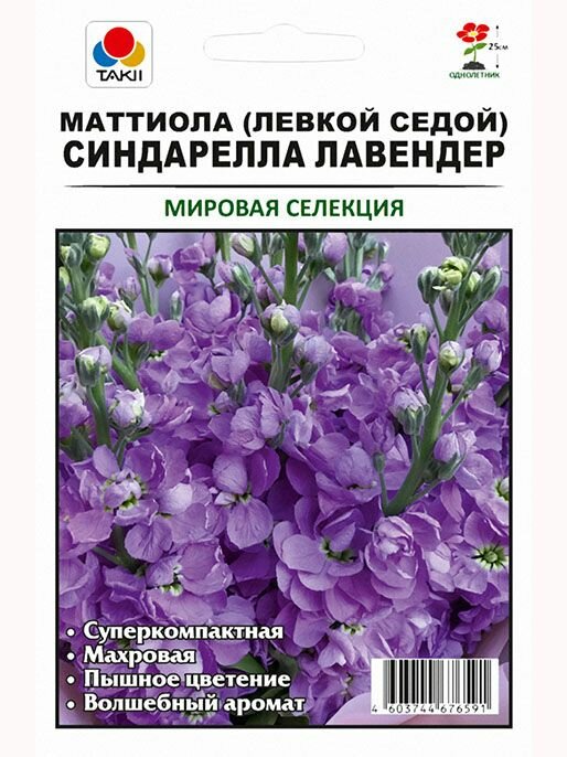Маттиола (Левкой седой) Синдарелла Лавендер