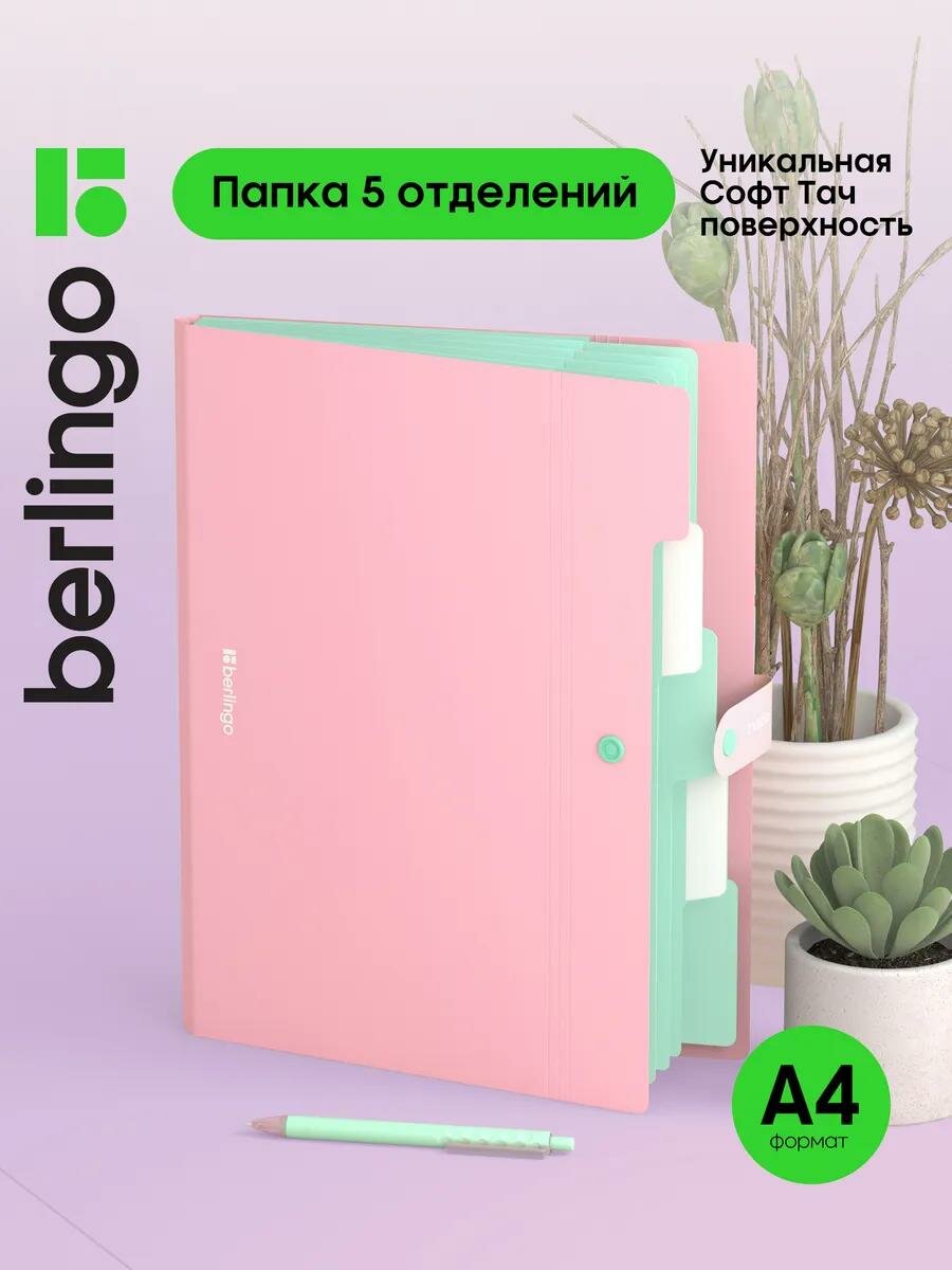 Папка для документов на кнопке Berlingo "Haze", 5 отделений, А4, 600мкм, розовая, софт-тач