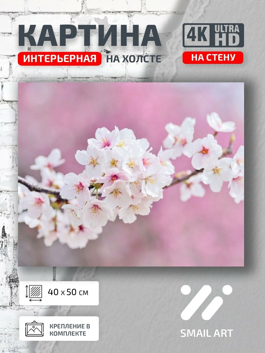 Картина на холсте интерьерная 40 на 50 на стену Цветущая вишня для кабинета атмосфера