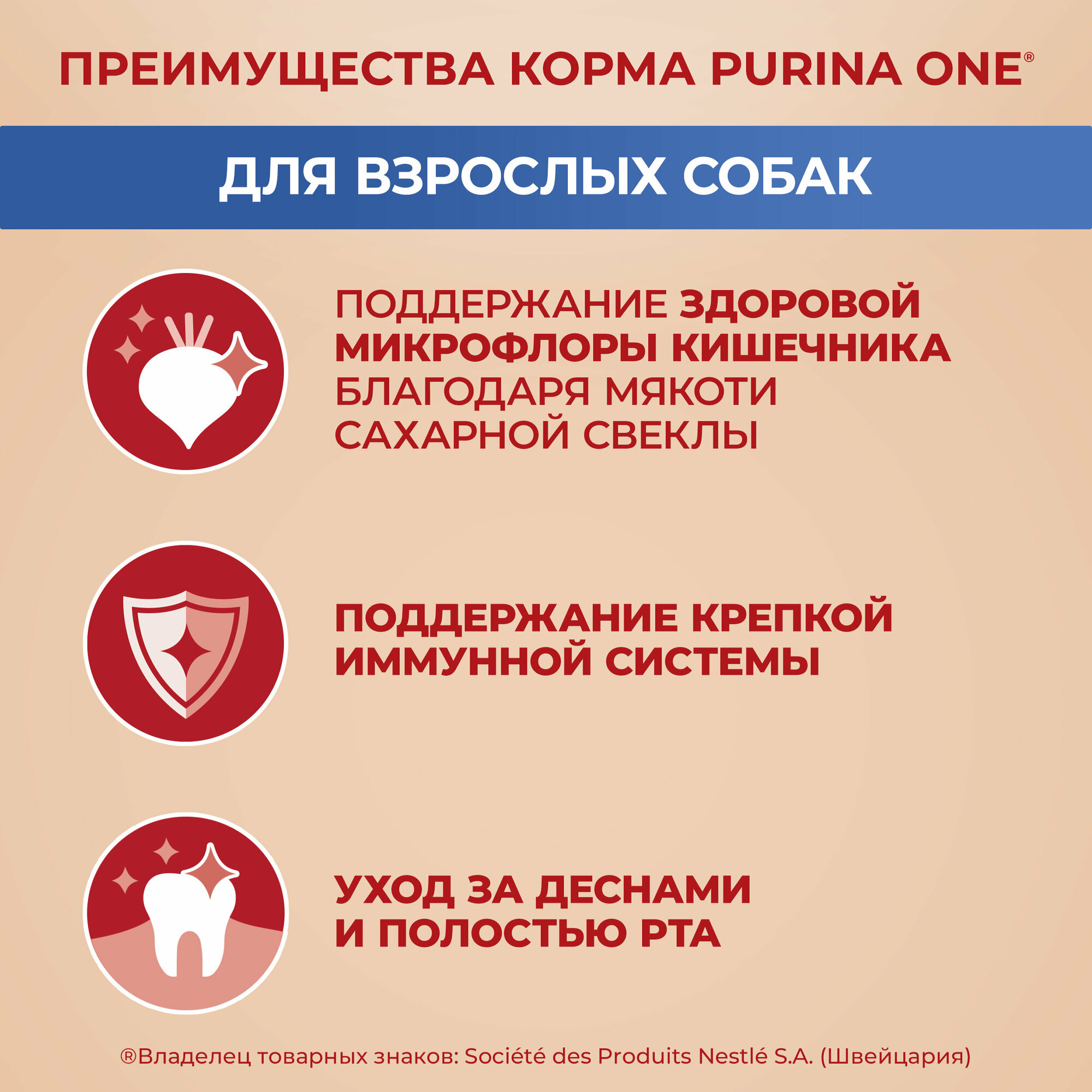 Сухой корм Purina ONE® мини для взрослых собак мелких пород с говядиной и с рисом, 3 кг — фото 1