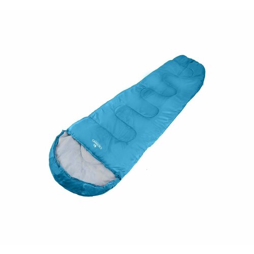 Спальный мешок Calviano Acamper BERGEN 300гм2 336400₽
