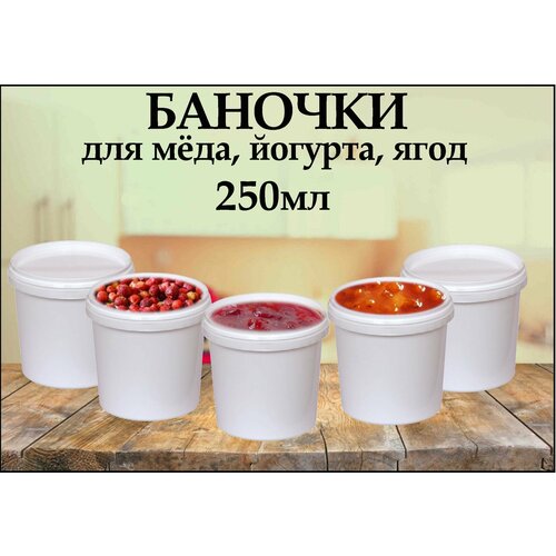 Банка (стаканчик) 0,25 л, емкость пищевая с герметичной крышкой для йогурта, для меда, для ягод, для заморозки, комплект 5 шт.