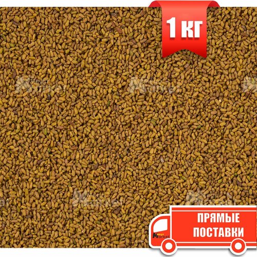 Семена Козлятник сидератчистота 98%, био-удобрение, 1 кг