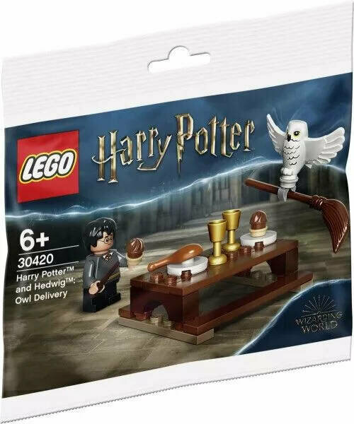 LEGO Harry Potter 30420 Гарри Поттер и Букля: Посылка с метлой