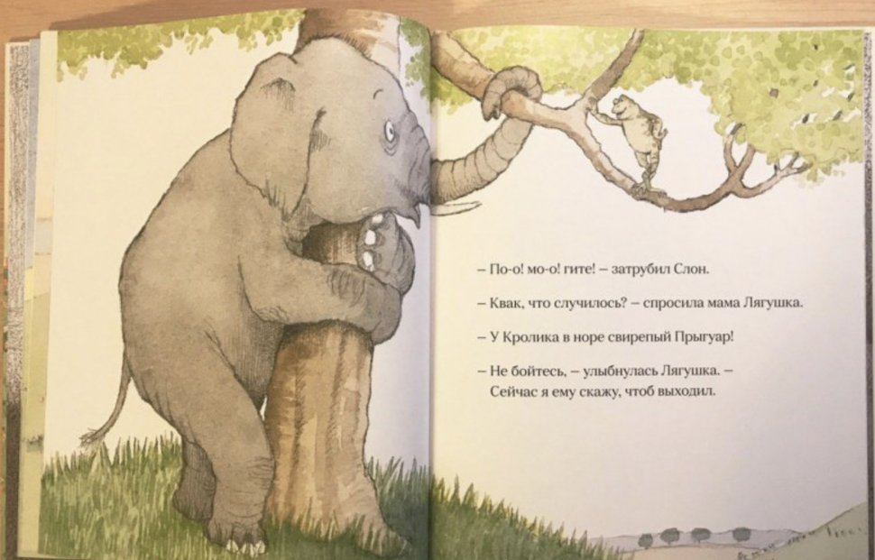 Джулия Дональдсон. Огромный Прыгуар - фото №5