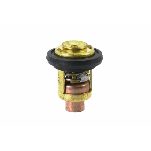 фото Термостат t15-04000010запчасти для лодочного мотора golfstream t20a bm 2-х тактный