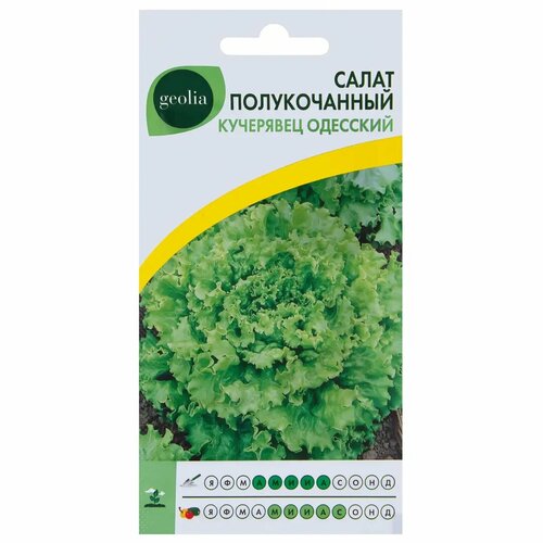 Семена Салат Geolia «Кучерявец одесский» семена салат geolia кучерявец одесский