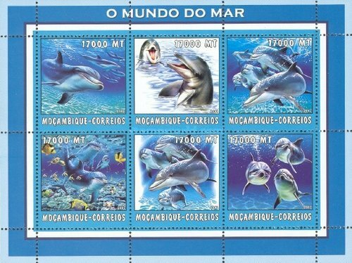 Почтовые марки Мозамбик 2002г. "Морская жизнь - дельфины" Дельфины MNH