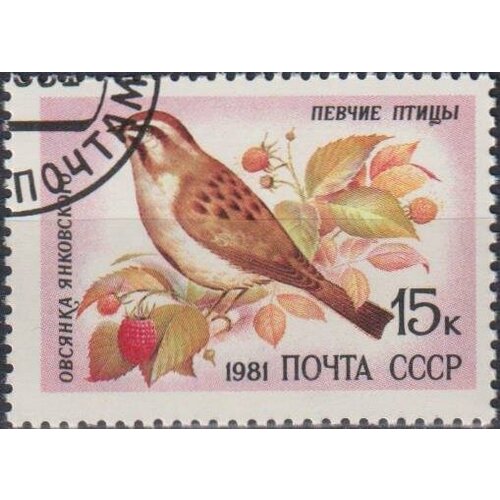 Почтовые марки СССР 1981г. Певчие птицы - Расписная синичка Птицы U почтовые марки россия 2022г певчие птицы птицы u