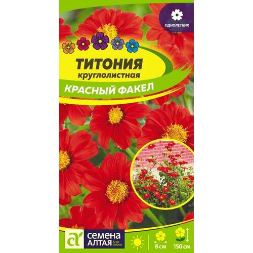 Титония круглолистная Красный Факел , 1 пакет, семена 0,1 гр, Семена Алтая титония круглолистная факел семена цветы