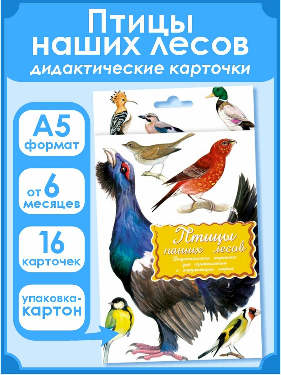 Дидактические карточки Маленький гений Птицы наших лесов, 16 шт, 25х15 см