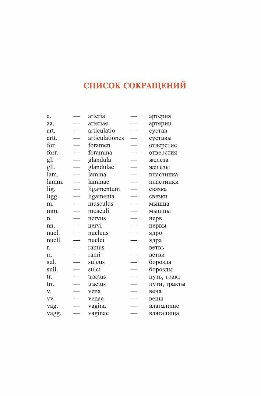 Атлас анатомии человека. Учебное пособие для студентов учреждений среднего профессионального образ - фото №9