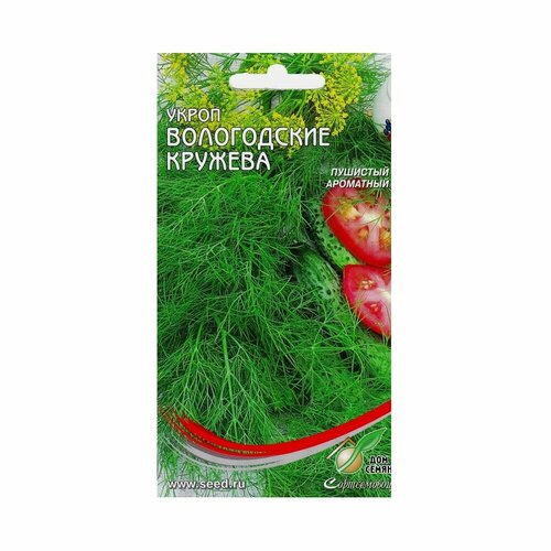Семена Укроп Вологодские кружева семена укроп вологодские кружева 1 гр цп