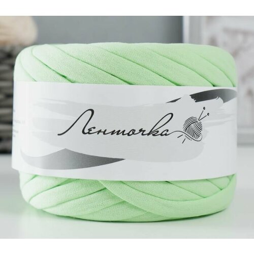 Пряжа трикотажная широкая 50м/160±20гр, ширина нити 7-8 мм (020 мохито) 1шт