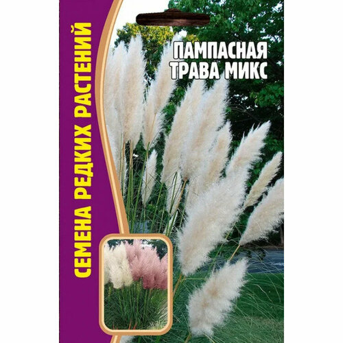 Пампасная трава микс 0,01 г редкие семена (2шт в заказе) семена индийская и пампасная трава мискантус китайский
