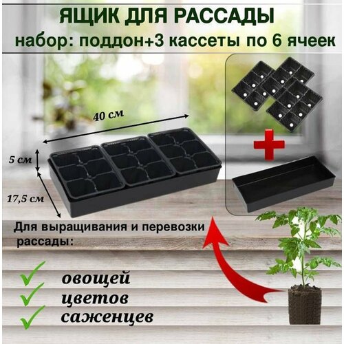 Ящик для рассады П18 (поддон и 3 кассеты по 6 ячеек по 165 мл). Черный.