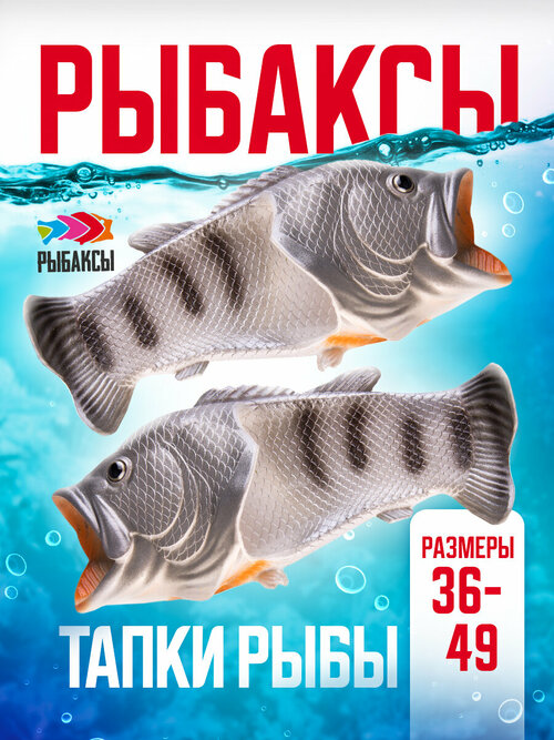 Шлепанцы Рыбаксы, размер 40/41, серый