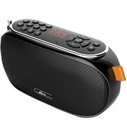 Радиоприемник Ritmix RPR-008 Bluetooth, usb, microSD. встроенный диктофон, встроенный аккумулятор