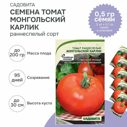 Семена ранних низкорослых томатов Монгольский карлик