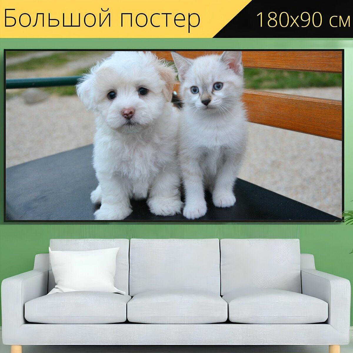 Большой постер "Собака кошка, щенок, котенок" 180 x 90 см. для интерьера