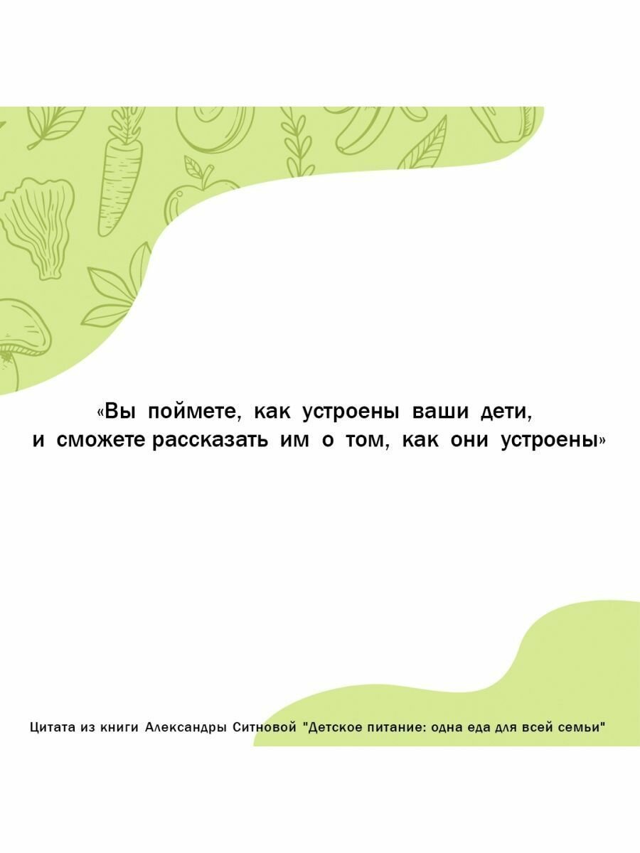 PROсто и без стресса Книга-путеводитель в мир детского питания - фото №4