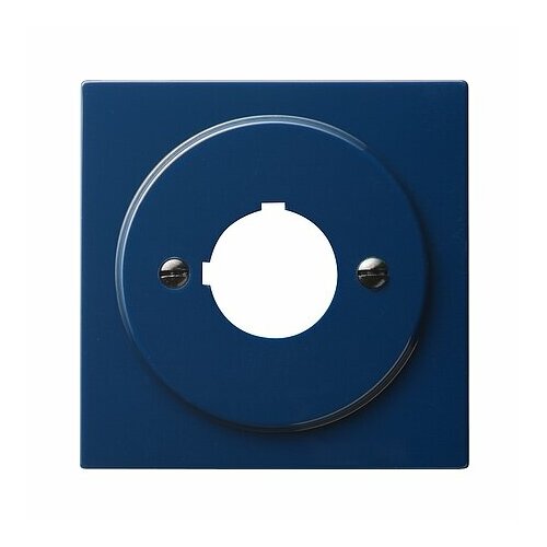 Центральная крышка 027246