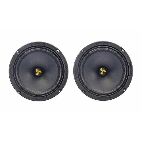 Колонки среднечастотные SWAT MAS-65Pro 6 16см 75Вт 362400₽