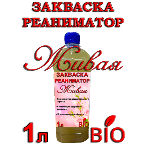 Закваска Реаниматор (концентрат живых спор и клеток бактерий рода Bacillus), 1 литр