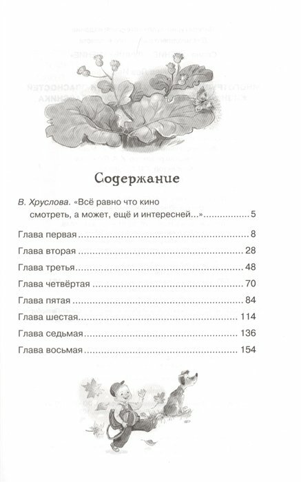 Жизнь Ивана Семёнова, второклассника и второгодника - фото №19