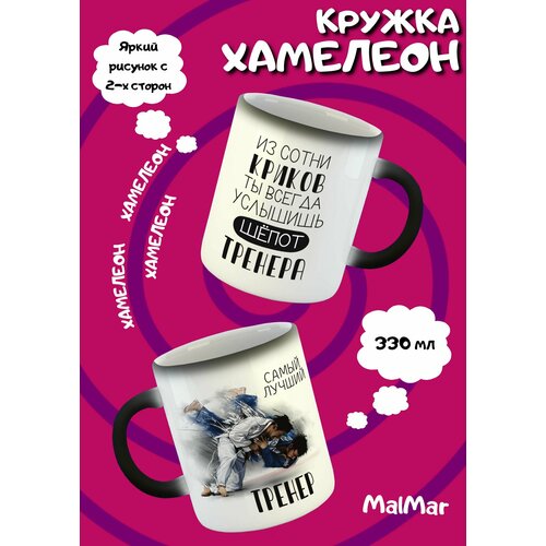 Кружка хамелеон Тренер по единоборству new