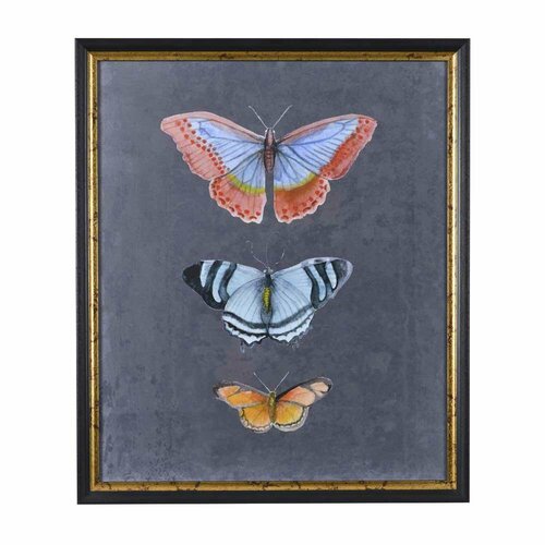 Постер G&C 55*66 см, 55935