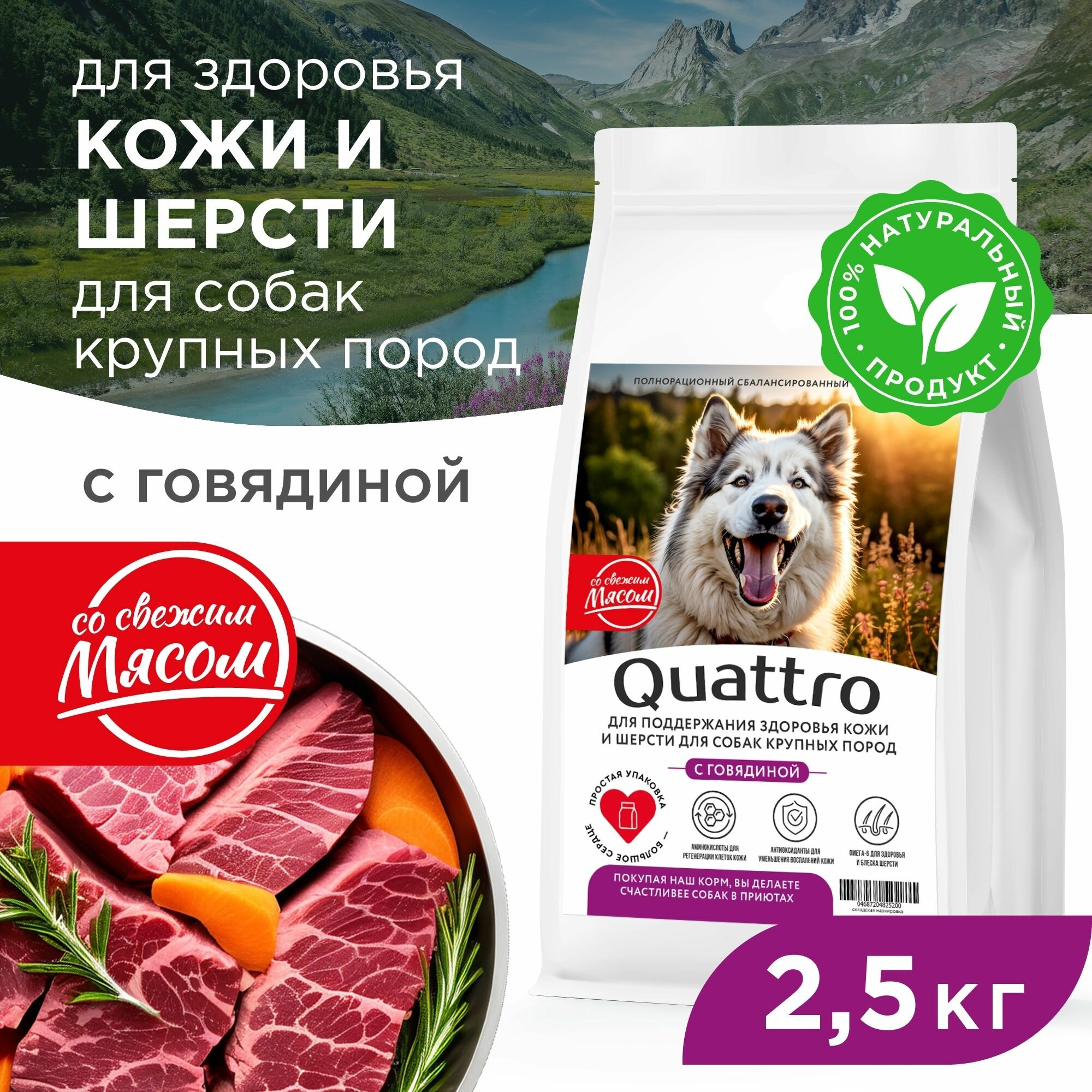 Корм сухой для взрослых собак крупных пород, премиум полнорационный комплекс, здоровье кожи и шерсти, с говядиной, 2,5 кг, QUATTRO