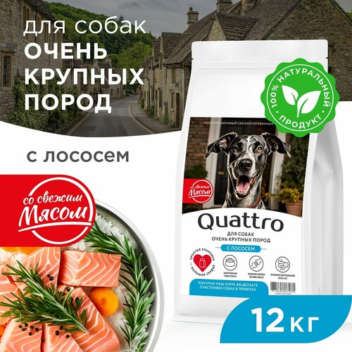 Quattro корм для взрослых собак очень крупных пород, полнорационный сбалансированный, с лососем 12 кг