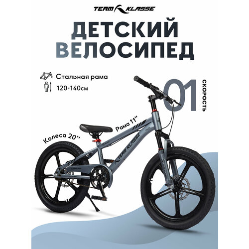 Горный детский велосипед Team Klasse F-1-B, серый, диаметр колес 20 дюймов