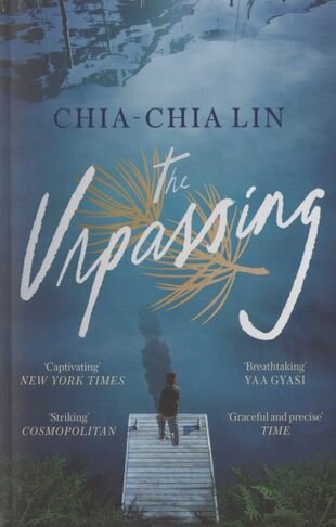 The Unpassing (Lin Chia-Chia) - фото №1