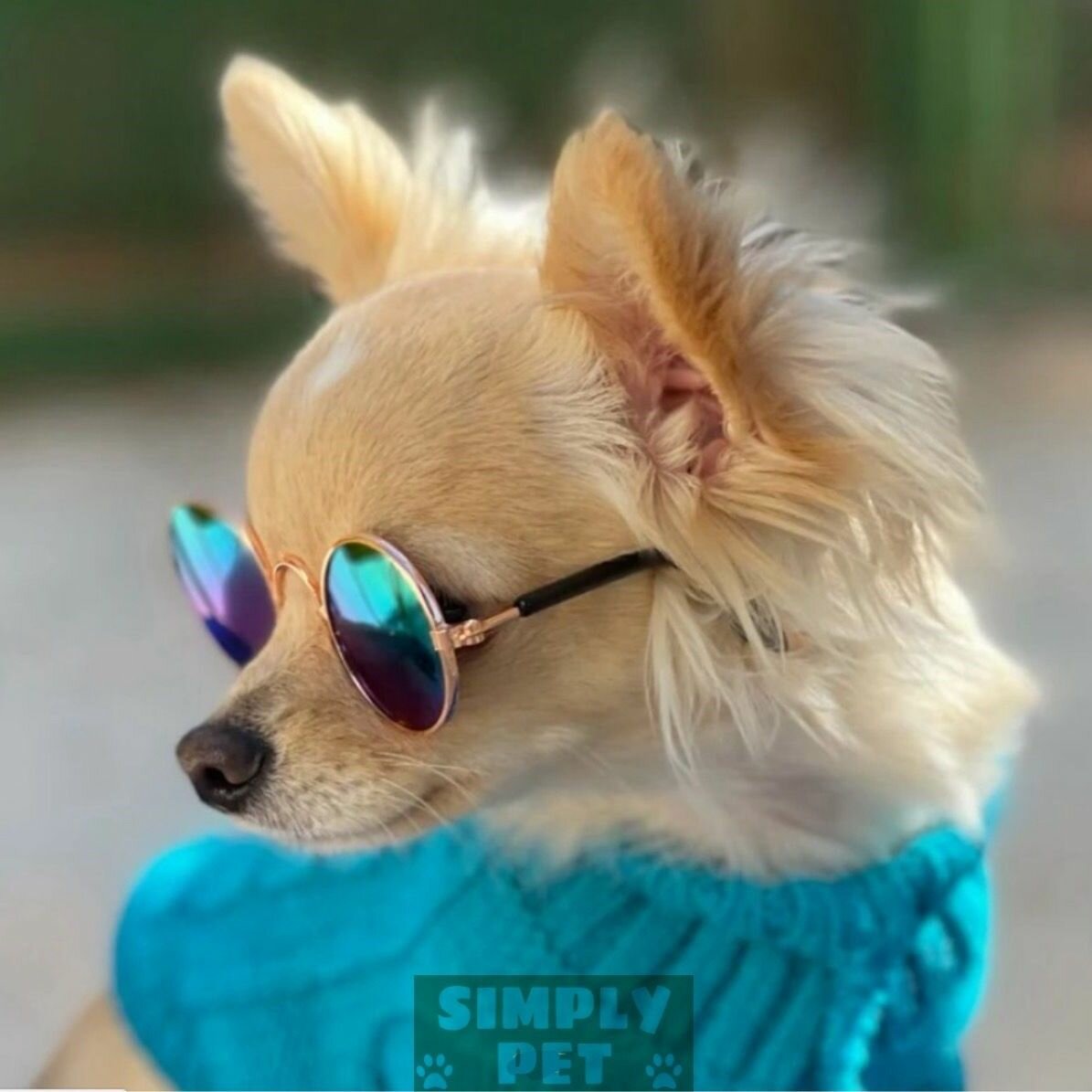 Солнцезащитные очки для кошек и собак, очки для кукол, для фотосессий, цвет синий