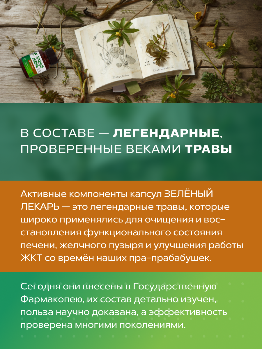 Изображение Комплекс для печени с артишоком и расторопшей