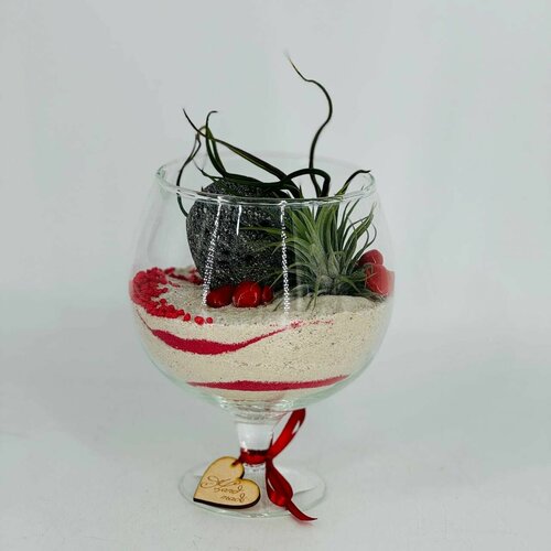 Тилландсии медуза на Камне 5580₽