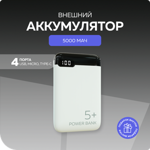 PURE Внешний аккумулятор 5000mAh 2USB 2.1A More choice PB19-05 Black